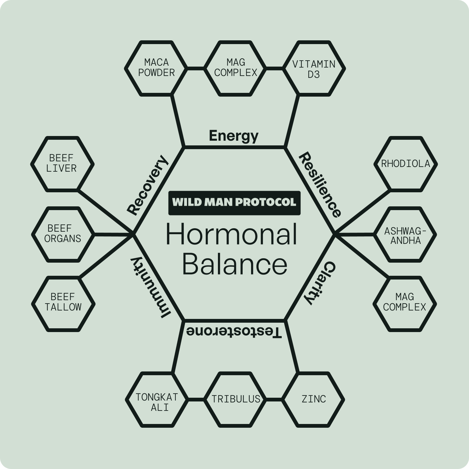 Wild Man Bundles: Natural Anabolic Support by Wild Foods