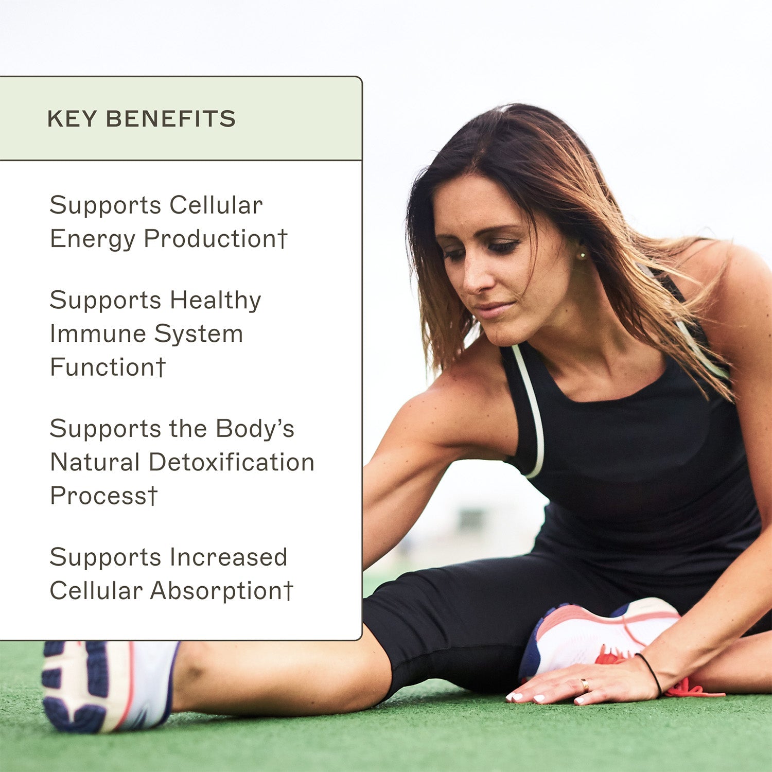 AMMD Glutathione Key Benefits infographic. Supports cellular energy production†. Supports healthy immune system function†. Supports the body's natural detoxification process†. Supports increased cellular absorption†.