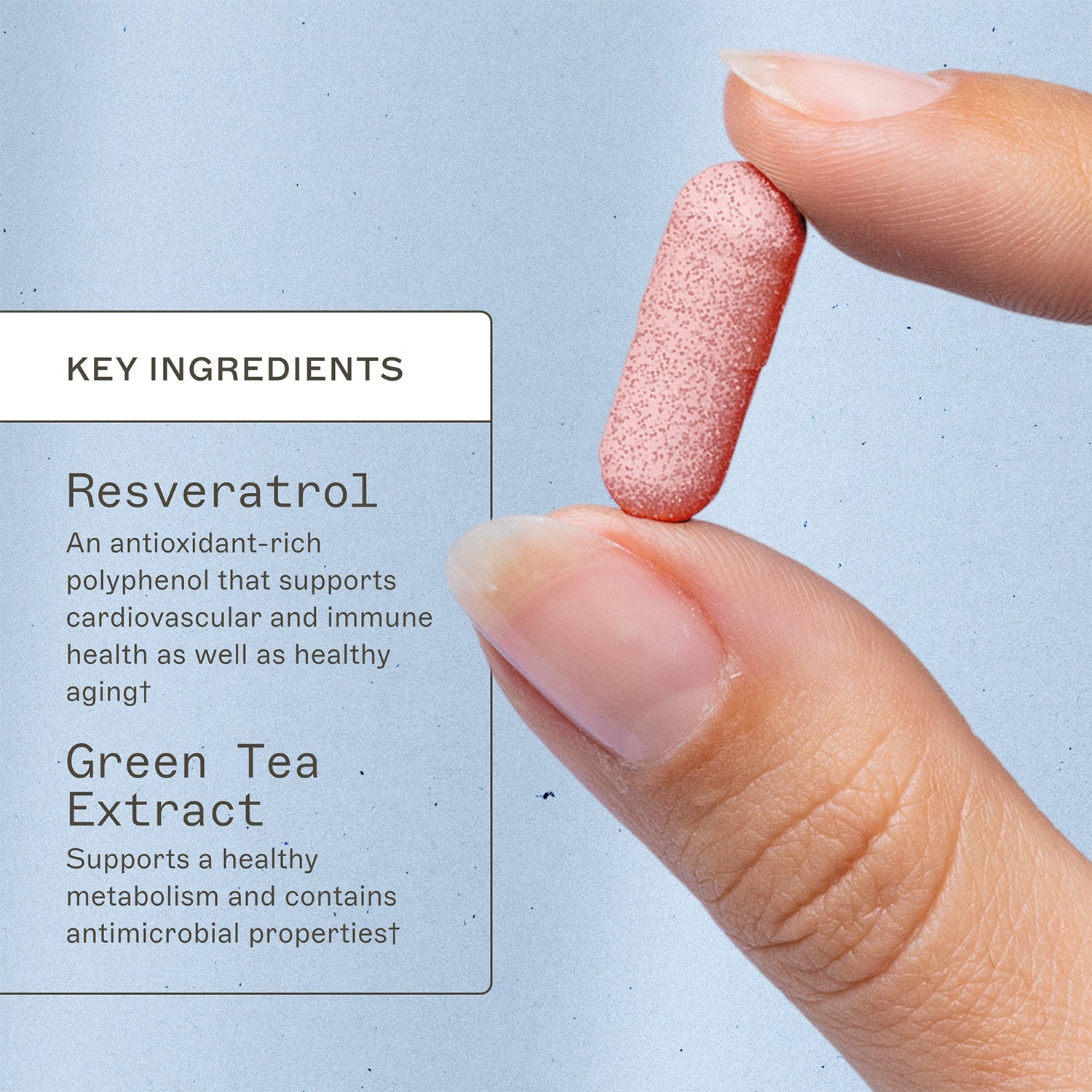 Resveratrol key ingredients. Resveratrol, an antioxidant-rich polyphenol that supports cardiovascular and immune health as well as healthy aging†. Green tea extract, supports a healthy metabolism and contains antimicrobial properties†.
