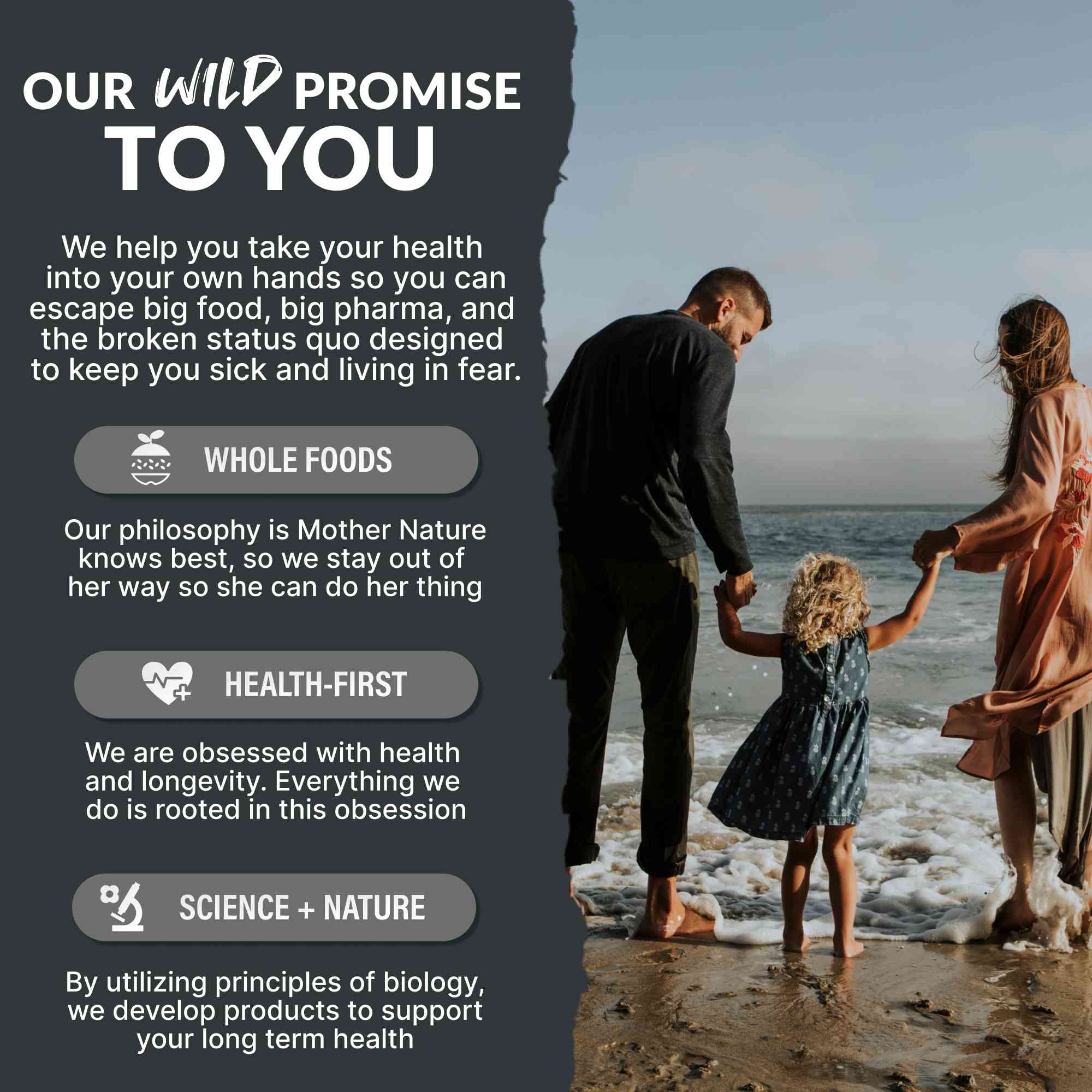 Activated Charcoal Capsules, 60 servings - Made from 100% Organic Coconuts by Wild Foods