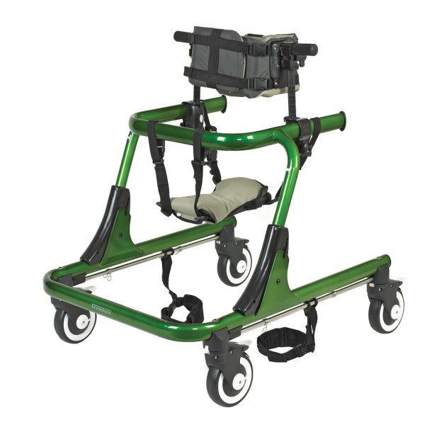 תמיכת תא המטען