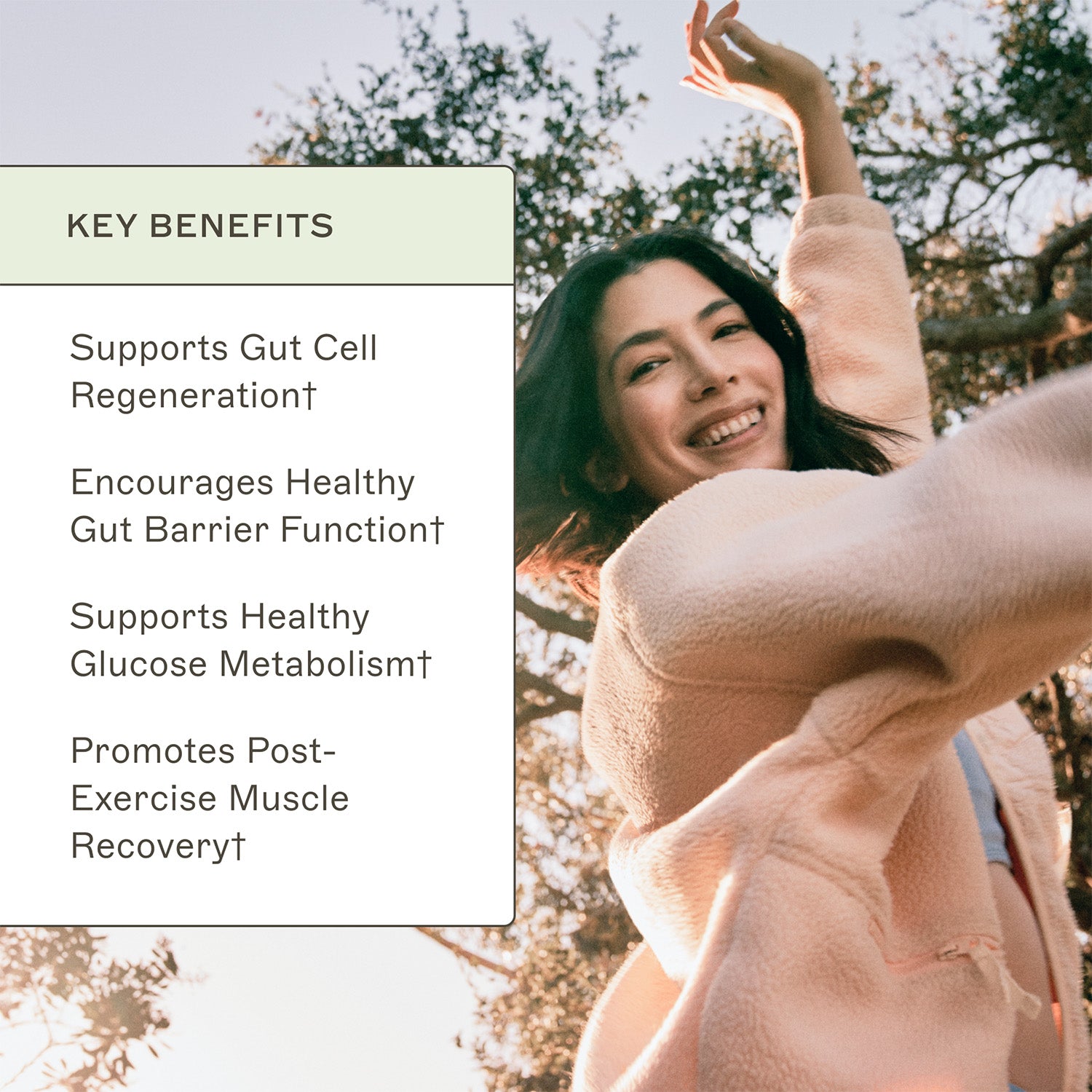 AMMD L-Glutamin Key Benefits infographic. Supports gut cell regeneration†. Encourages healthy gut barrier function†. Supports healthy glucose metabolism†. Promotes post-exercise muscle recovery†. 