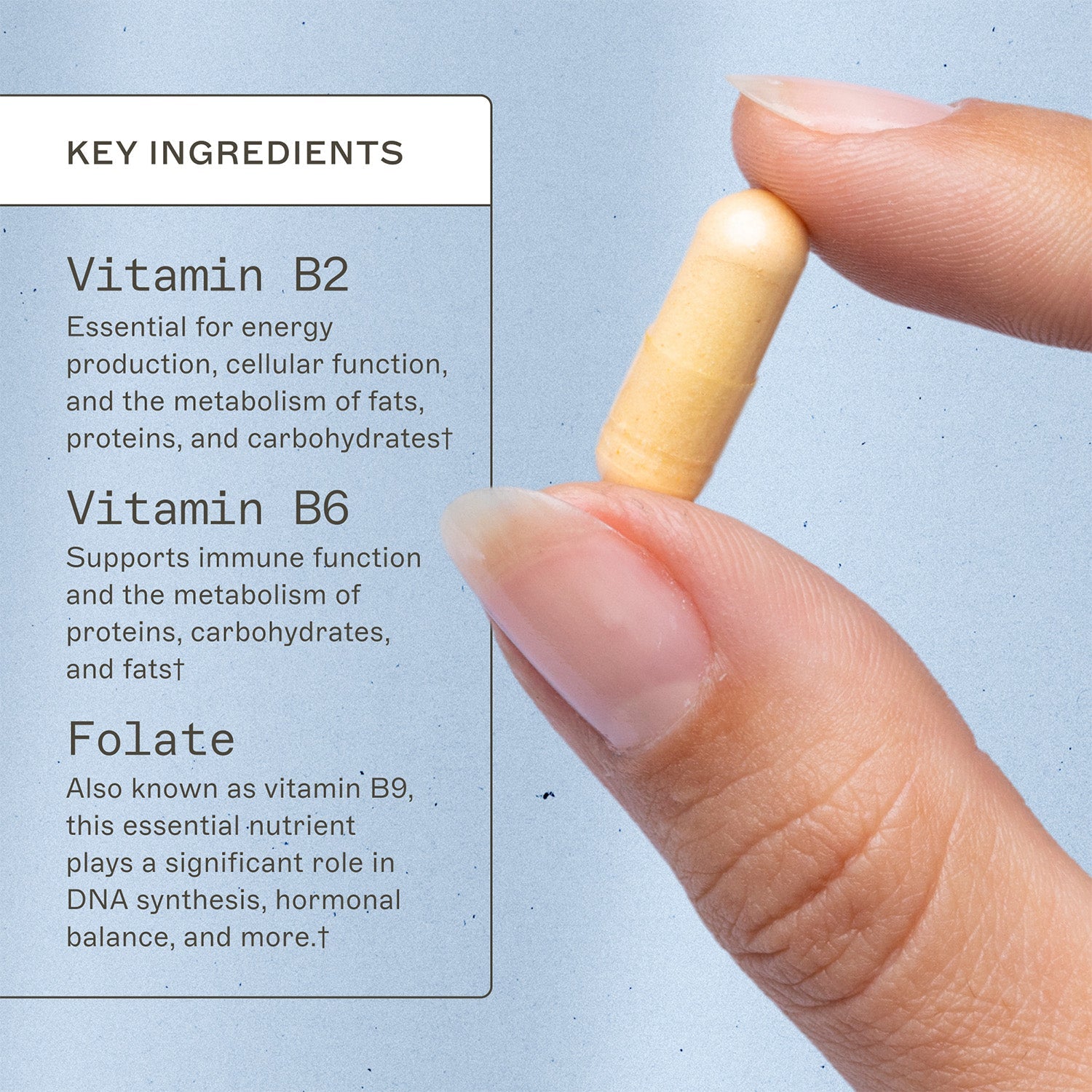 Methylation Support key ingredients. Vitamin B2, essential for energy production, cellular function, and the metabolism of fats, proteins, and carbohydrates†. Vitamin B6, supports immune function and the metabolism of proteins, carbohydrates, and fats†. Folate, also known as vitamin B9, this essential nutrient plays a significant role in DNA synthesis, hormonal balance, and more†. 