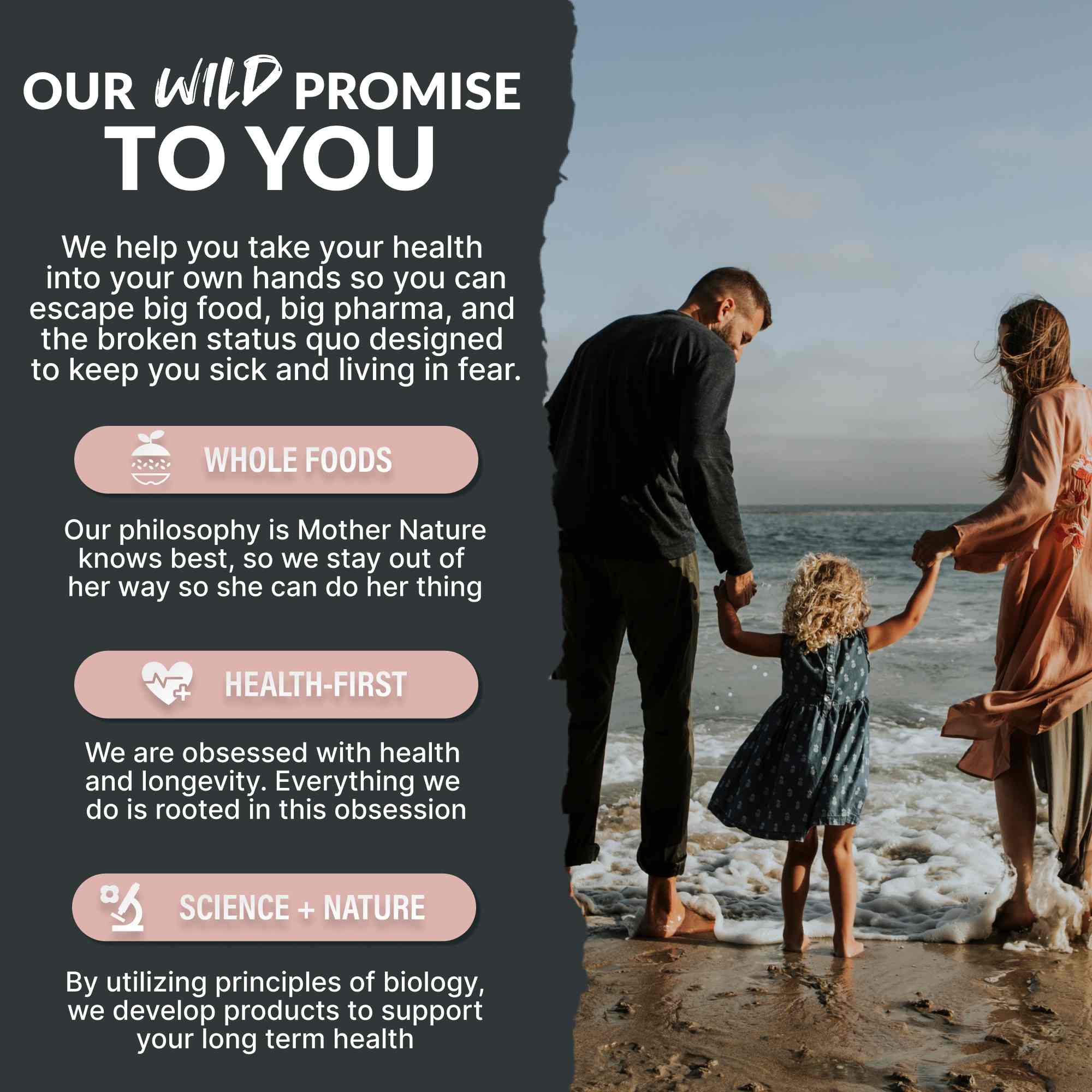 Himalayan Pink Salt – Mineral-Rich Gourmet Salt for Flavor & Health by Wild Foods