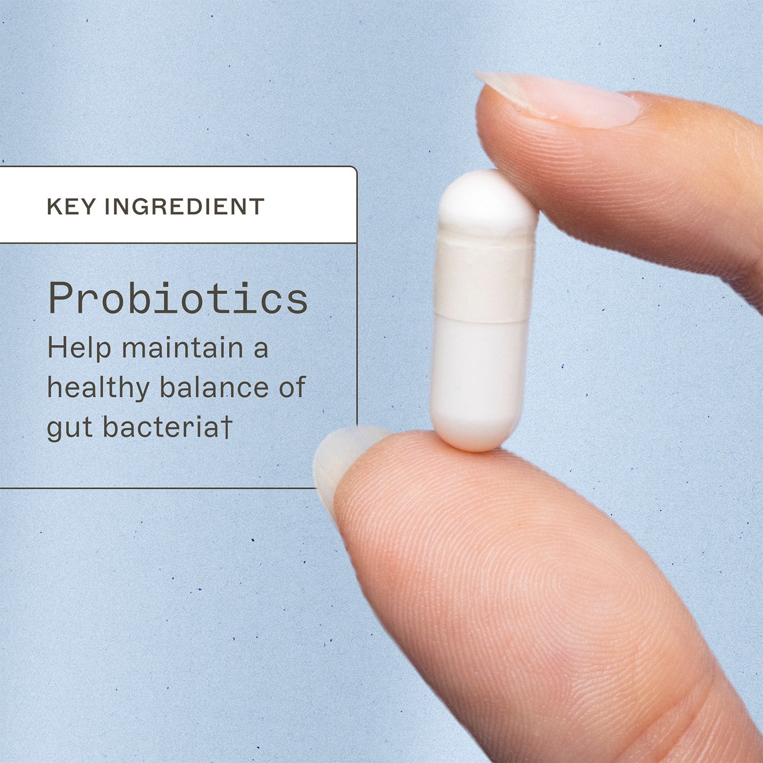 Probiotic 30 Billion key ingredient. Probiotics, help maintain a healthy balance of gut bacteria†. 