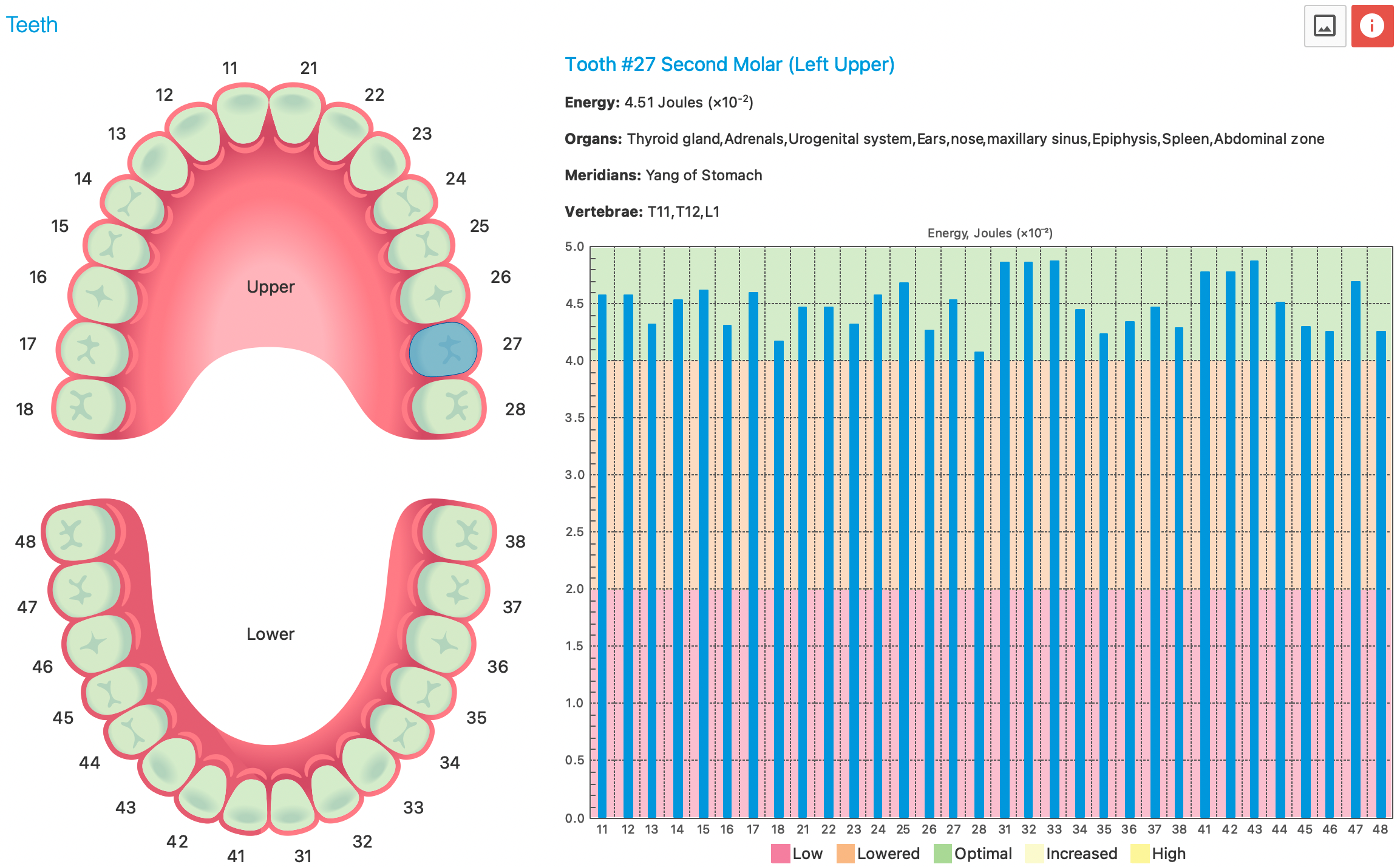 Dental Tab