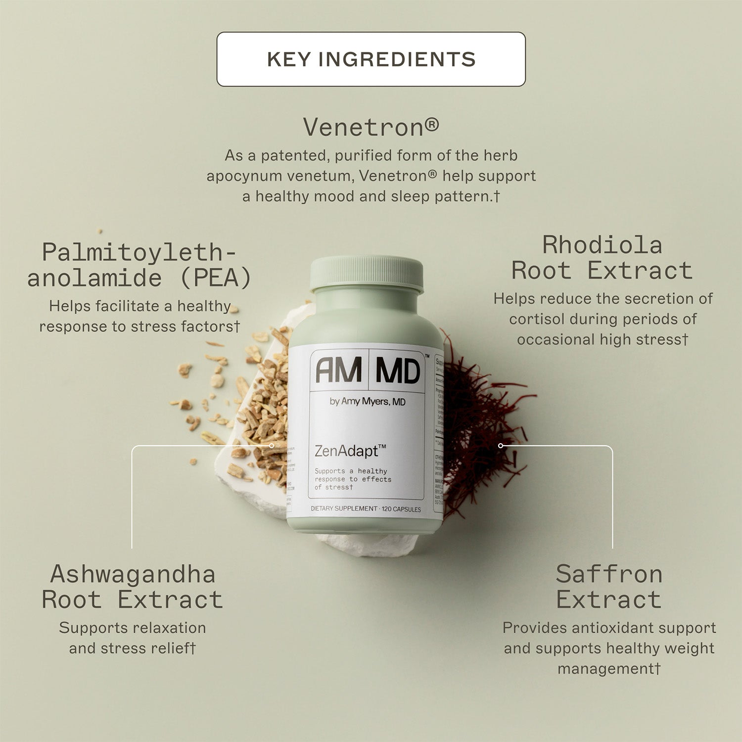 ZenAdapt™ key ingredients. Venetron®, as a patented, purified form of the herb apocynum venetum, Venetron® helps support a healthy mood and sleep pattern†. Palmitoyleth-anolamide (PEA), helps facilitates a healthy response to tress factors†. Rhodiola root extract, helps reduce the secretion of cortisol during periods of occasional high stress†. Ashwagandha root extract, supports relaxation and stress relief†. Saffron Extract, provides antixidant support and supports healthy weight management†. 