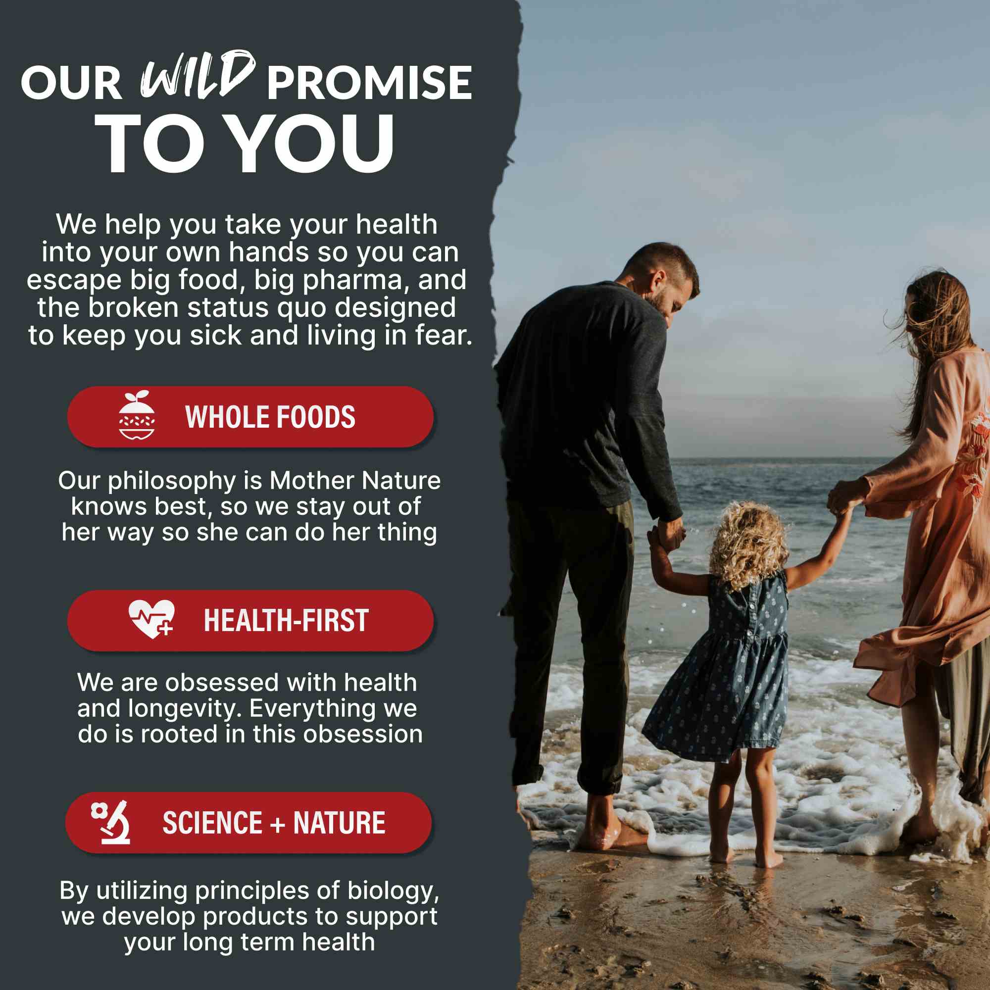 Bull Blend, 30 servings – Natural Male Hormone & Energy Support by Wild Foods