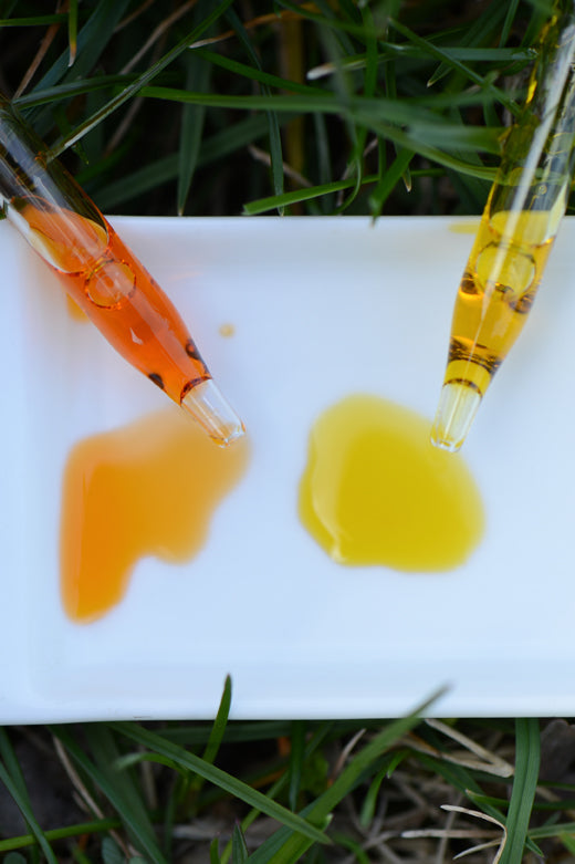 Face Treatment System, Fire and Ice (10 Treatments) by Primal Life Organic II LLC