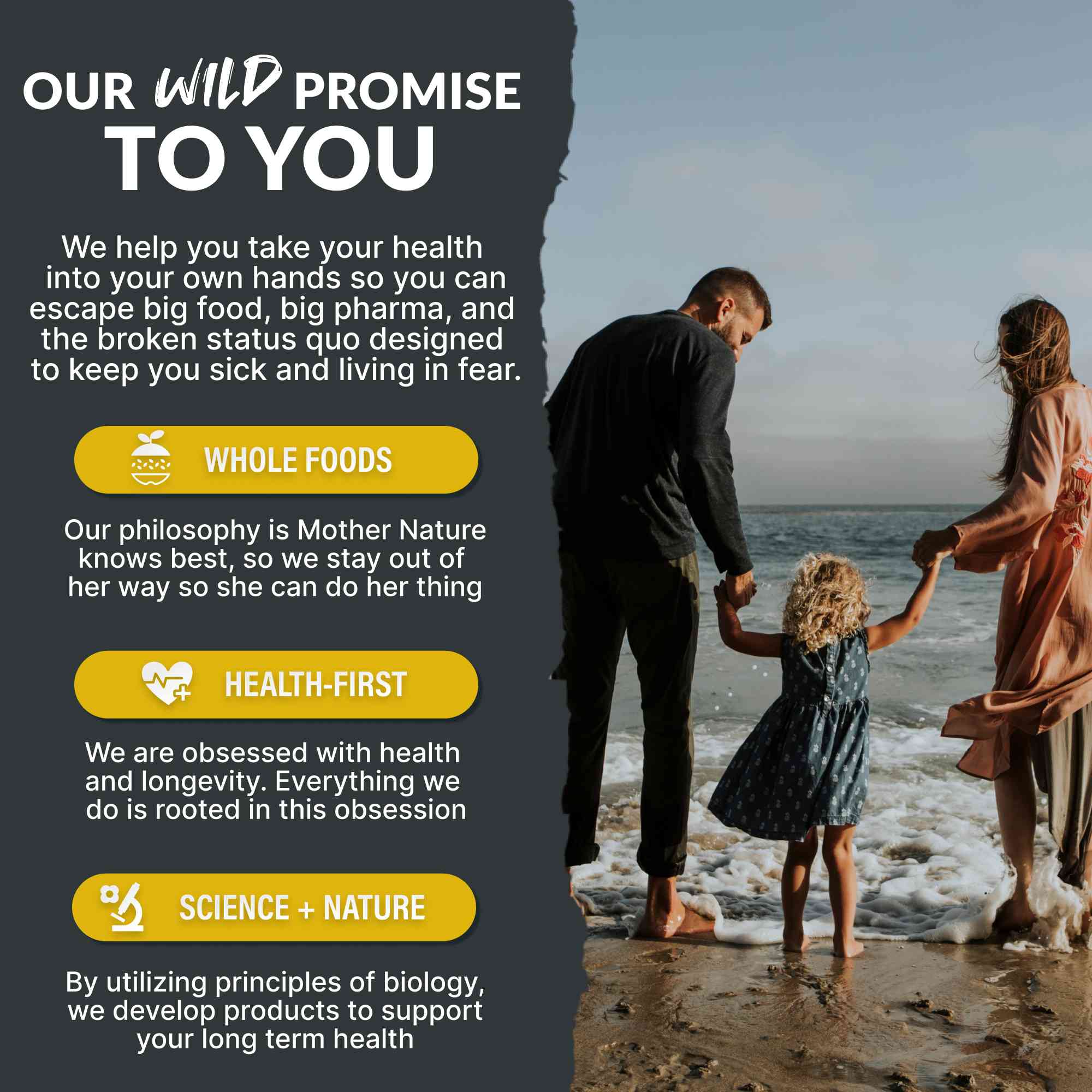 Wild Man Herbal Stack – Male Hormone Balance & Performance by Wild Foods